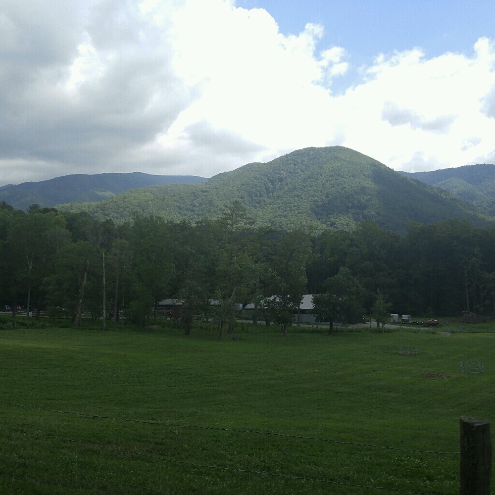 Meet your Posher, Lorie